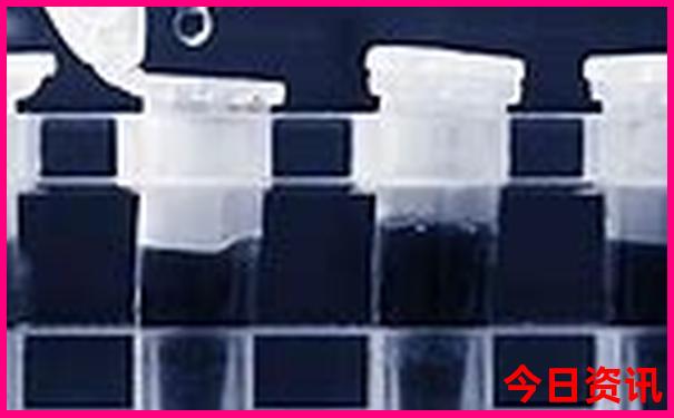 云南景点60岁老人免费吗?