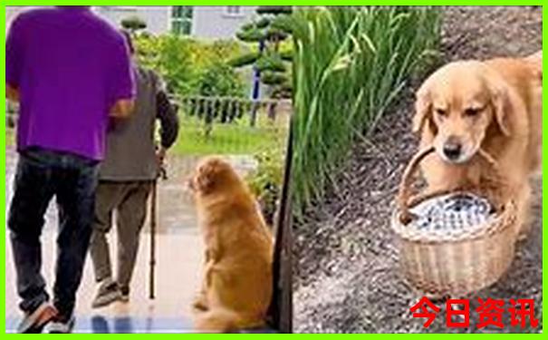 8月亲子游最佳地推荐