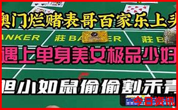 2023年澳门正版资料大全免费