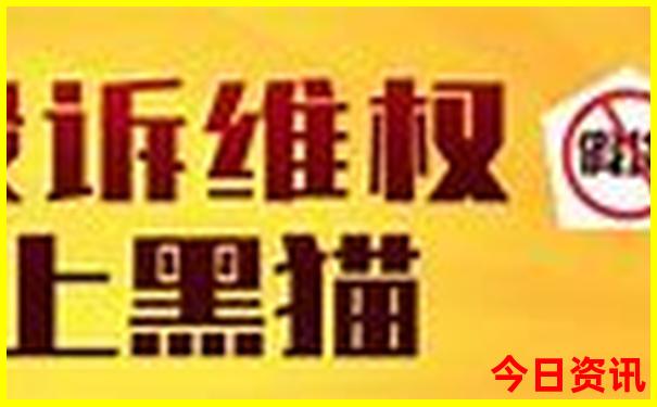 新澳2025天天开彩资料
